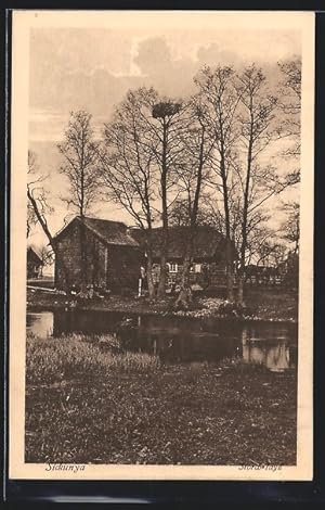 Ansichtskarte Sickunya, Storch-Idyll mit Teich