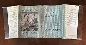 A Prospect Of Th Sea and Other Stories and Prose Writings
