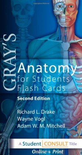 Bild des Verkufers fr Gray's Anatomy for Students Flash Cards: with STUDENT CONSULT Online Access zum Verkauf von WeBuyBooks