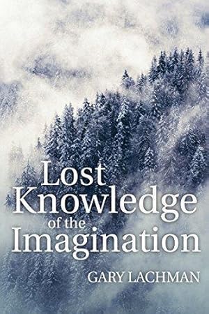 Bild des Verkufers fr Lost Knowledge of the Imagination zum Verkauf von WeBuyBooks