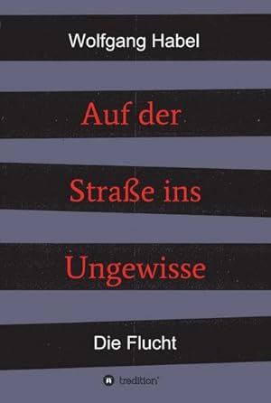 Seller image for Auf der Strae ins Ungewisse for sale by BuchWeltWeit Ludwig Meier e.K.