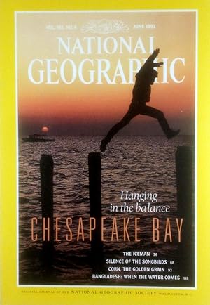 Seller image for National Geographic Magazine: June 1993 for sale by Kayleighbug Books, IOBA