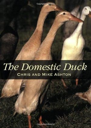 Bild des Verkufers fr The Domestic Duck zum Verkauf von WeBuyBooks