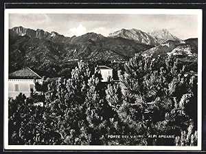 Cartolina Forte dei Marmi, Panorama e Alpi Apuane