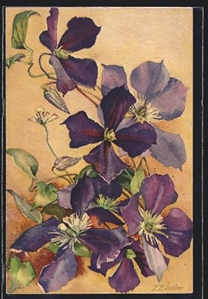 Seller image for Ansichtskarte Clematis, Chlematis, Clmatie for sale by Bartko-Reher