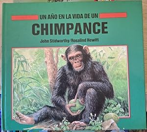 UN AÑO EN LA VIDA DE UN CHIMPANCE.