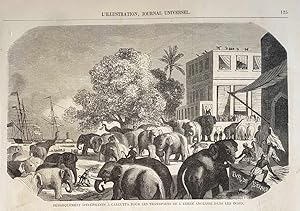 Gravure sur bois debarquement elephants a calcutta pour transports armee anglaise dans les indes