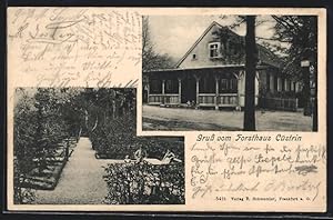 Ansichtskarte Cüstrin, Gasthaus Forsthaus, Garten