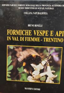 Seller image for FORMICHE VESPE E API IN VAL DI FIEMME TRENTINO for sale by AL VECCHIO LIBRO