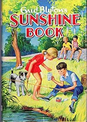 Seller image for Sunshine Book: 12 (Rewards S.) for sale by WeBuyBooks