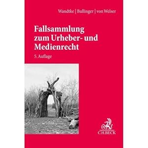 Seller image for Fallsammlung zum Urheber- und Medienrecht for sale by ISIA Media Verlag UG | Bukinist