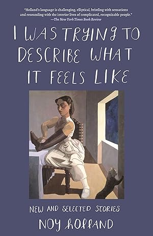 Seller image for I Was Trying to Describe What It Feels Like: New and Selected Stories for sale by moluna