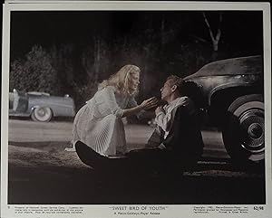 Imagen del vendedor de Sweet Bird of Youth 8 x 10 Color Still 1962 Paul Newman, Shirley Knight! a la venta por AcornBooksNH