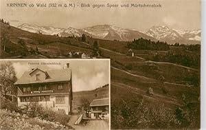 Postkarte Carte Postale 13959254 Krinnen Wald ZH Panorama Blick gegen Speer und Muertschenstock P...