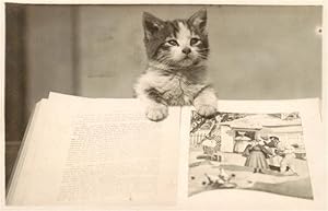 Bild des Verkufers fr Postkarte Carte Postale 73958364 Katzen Buch zum Verkauf von Versandhandel Boeger