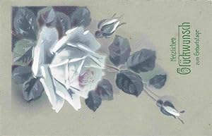 Seller image for Postkarte Carte Postale 73965078 Rosen Roses Rosas-- Weiss for sale by Versandhandel Boeger
