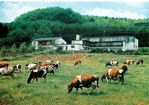 Bild des Verkufers fr Postkarte Carte Postale 73959774 Freisen Ferien auf dem Bauernhof zum Verkauf von Versandhandel Boeger