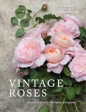 Immagine del venditore per Vintage Roses : Beautiful Varieties for Home and Garden venduto da GreatBookPrices