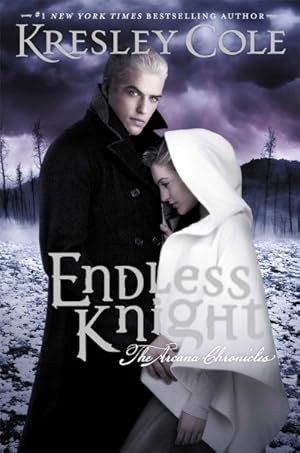 Bild des Verkufers fr Endless Knight zum Verkauf von GreatBookPrices