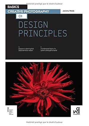 Imagen del vendedor de Basics Creative Photography 01: Design Principles a la venta por WeBuyBooks