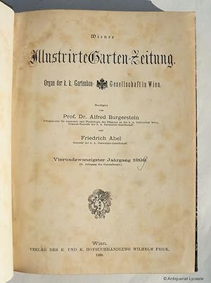 Seller image for Wiener Illustrirte Garten-Zeitung. Vierundzwanzigster / 24. Jahrgang 1899 (nicht 1898). for sale by Antiquariat Lycaste
