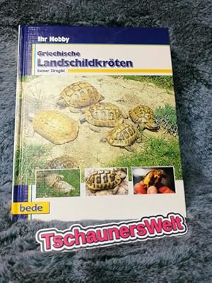 Bild des Verkufers fr Griechische Landschildkrten. Ihr Hobby zum Verkauf von TschaunersWelt