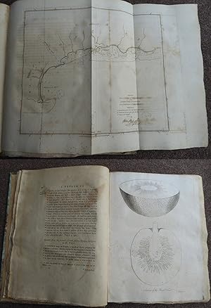 Seller image for A VOYAGE TO THE SOUTH SEA, undertaken by command of His Majesty, for the purpose of conveying the bread-fruit tree to the West Indies, in His Majesty's Ship the Bounty, commanded by Lieutenant William Bligh. for sale by Roger Middleton P.B.F.A.