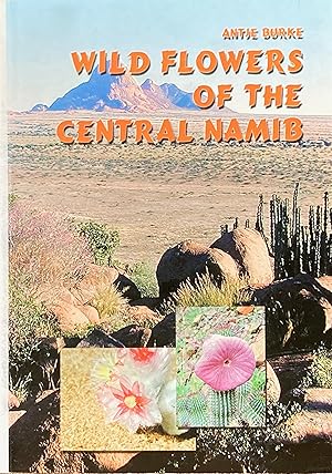 Wild flowers of the central Namib