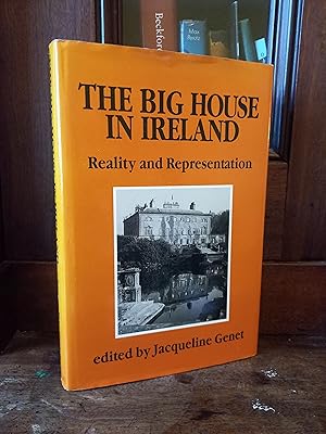 Imagen del vendedor de The Big House in Ireland: Reality and Representation a la venta por Temple Bar Bookshop