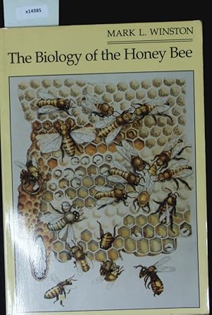 Immagine del venditore per The biology of the honey bee. venduto da Antiquariat Bookfarm