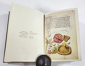 Mira Calligraphiae Monumenta: A Sixteenth-century Calligraphic Manuscript inscribed by Georg Bocs...