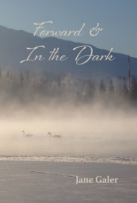 Bild des Verkufers fr Forward & In the Dark (Hardback or Cased Book) zum Verkauf von BargainBookStores