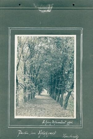 Foto Berlin Steglitz Lankwitz, Schlosspark - Fotograf Karl Heinz Rosenmund