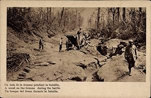 Bild des Verkufers fr Ansichtskarte / Postkarte Ein Wald der Somme whrend der Schlacht zum Verkauf von akpool GmbH