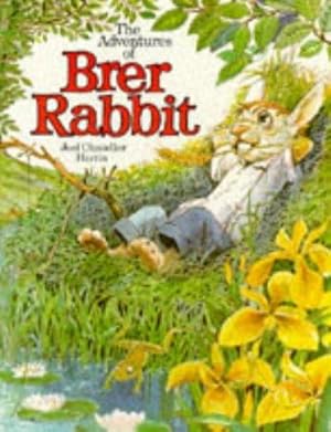 Imagen del vendedor de Brer Rabbit a la venta por WeBuyBooks