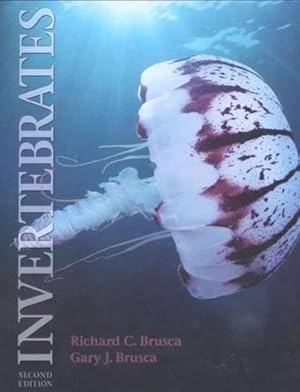 Imagen del vendedor de Invertebrates a la venta por WeBuyBooks