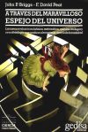 A través del maravilloso espejo del universo