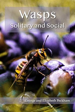 Bild des Verkufers fr Wasps: Social and Solitary zum Verkauf von WeBuyBooks