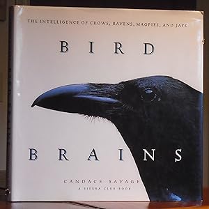 Immagine del venditore per Bird Brains: The Intelligence of Crows, Ravens, Magpies, and Jays venduto da The Old Sage Bookshop