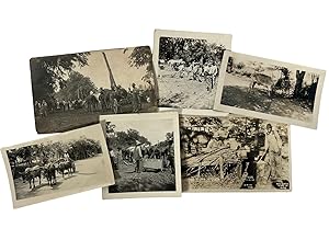 Image du vendeur pour Early African American Ranch Hands in the Midwest and South Archive 1910-1930s mis en vente par Max Rambod Inc