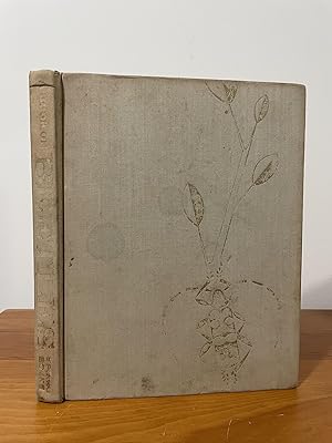 A Book of Beetles