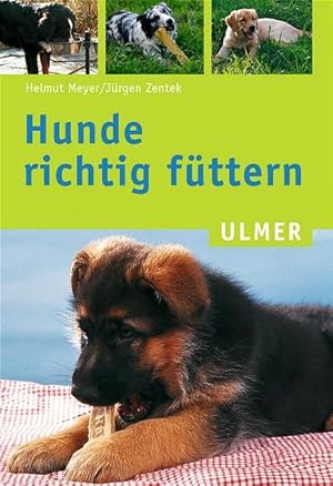 Seller image for Hunde richtig fttern for sale by Modernes Antiquariat - bodo e.V.