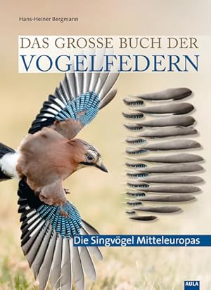 Das große Buch der Vogelfedern Die Singvögel Mitteleuropas