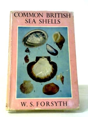 Bild des Verkufers fr Common British Seashells. zum Verkauf von World of Rare Books