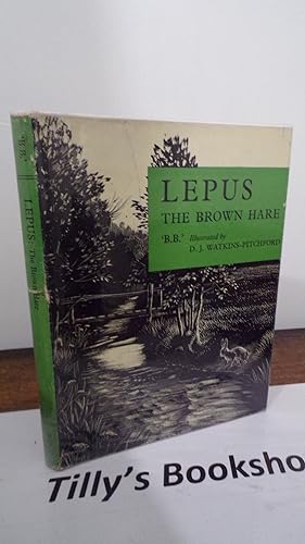 Lepus: The Brown Hare