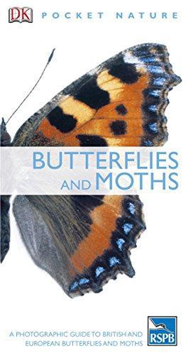 Bild des Verkufers fr Butterflies and Moths: A Photographic Guide to British and European Butterflies and Moths (Pocket Nature) zum Verkauf von WeBuyBooks