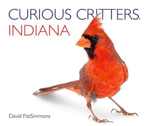 Bild des Verkufers fr Curious Critters Indiana zum Verkauf von WeBuyBooks