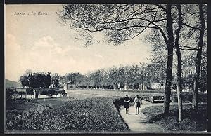 Cartolina Lucca, Le Mura