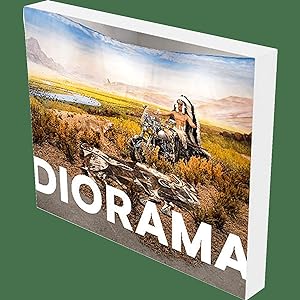 Seller image for Diorama. Erfindung einer Illusion. for sale by artbook-service