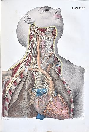 Image du vendeur pour Le corps de l'homme. Trait complet d'anatomie & de physiologie humaines; suivi d'un prcis des systmes de Lavater et de Gall. Tome Quatrime.(seul). mis en vente par Jean-Pierre AUBERT